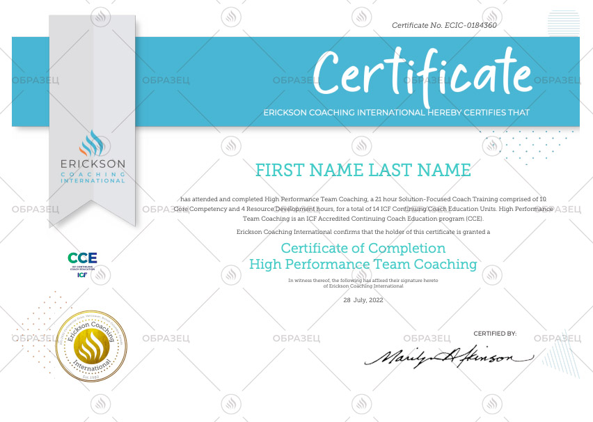Teamcoaching 2022.jpg